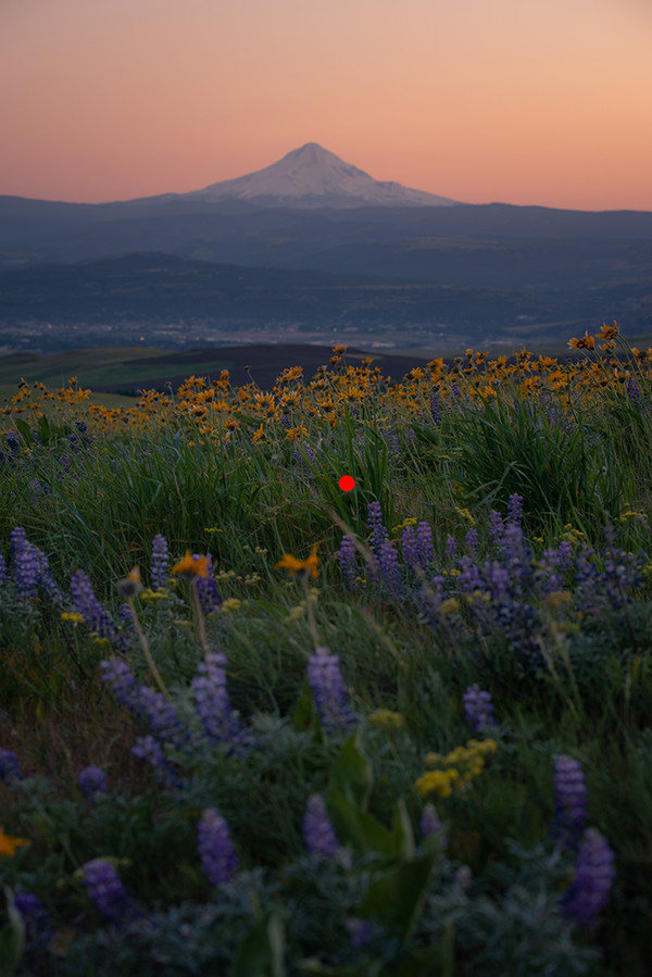 摄影ps景深合成的方法,ps景深合成焦点堆叠