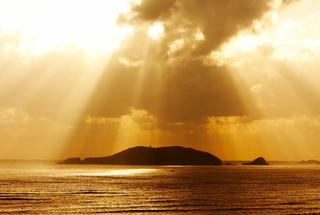 舟山副市长方维,5月23日在驴妈妈直播间带你“舟游列岛gou”!