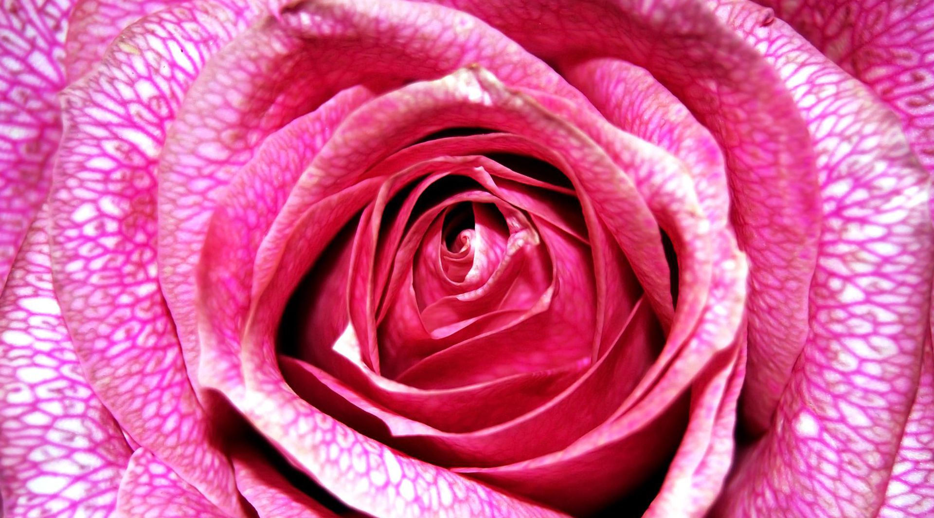 明基投影仪i707真实评测,爱普生投影仪tw5700tx和明基i707