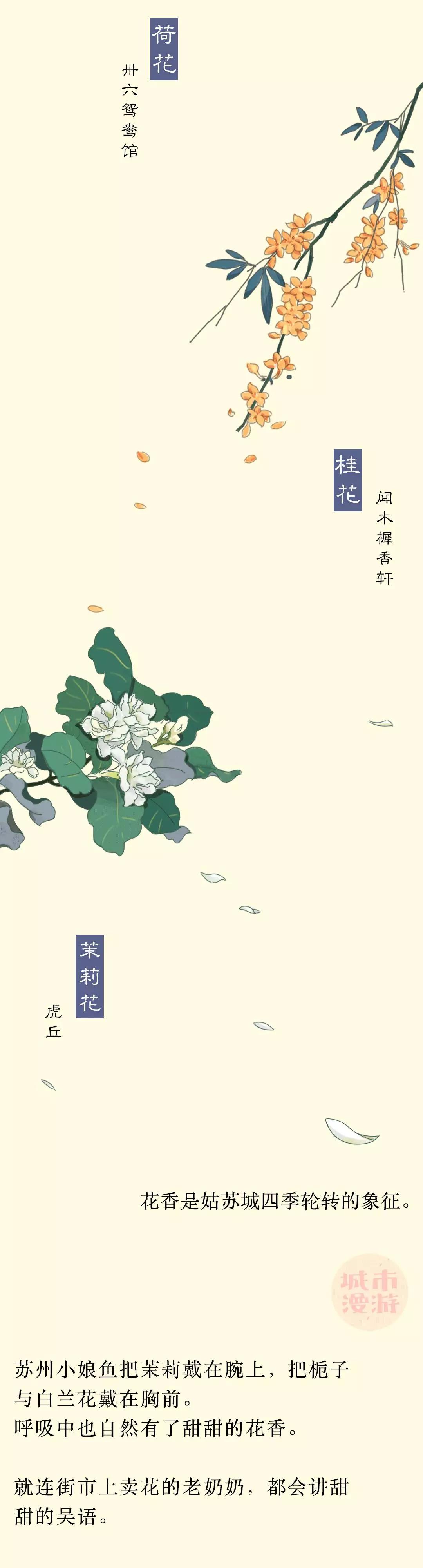 苏州最具有灵气的姑娘,苏州江南之美