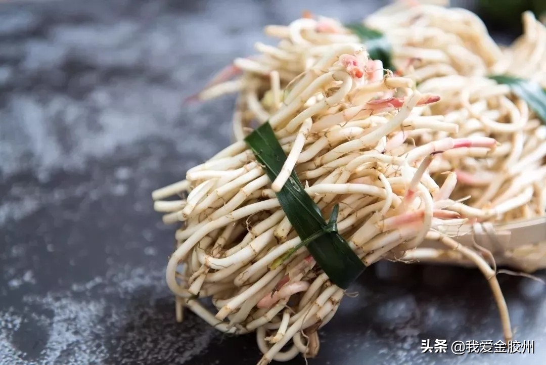 不负春日好食光这几种野菜别忘吃,春天的野菜麦蒿怎样吃有什么功效