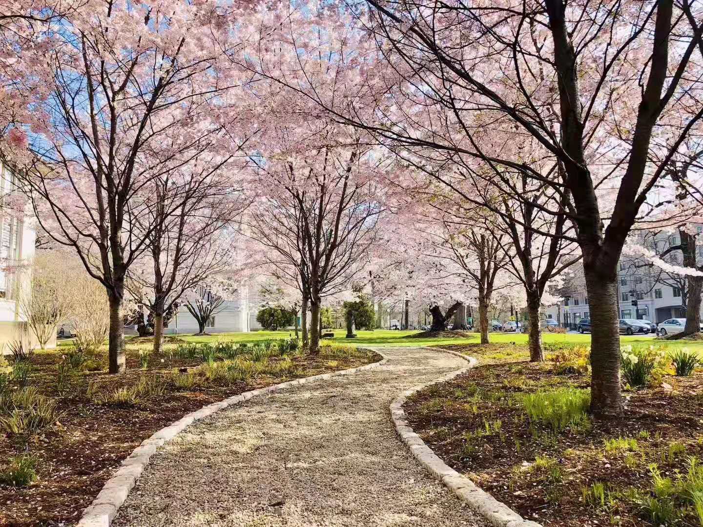 丹佛大学相当于国内哪个档次,丹佛大学国内认可度高吗