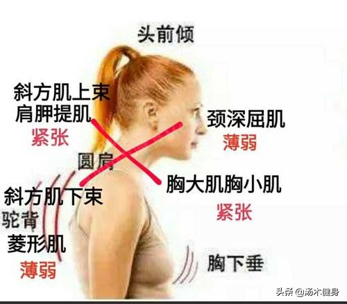 拉韧带和不拉韧带的差别,拉韧带拉的到底是什么