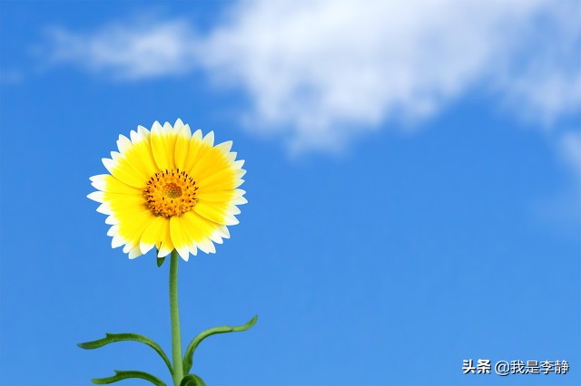 你知道哪些症状属于过度疲劳吗,怎么知道自己处于疲劳状态