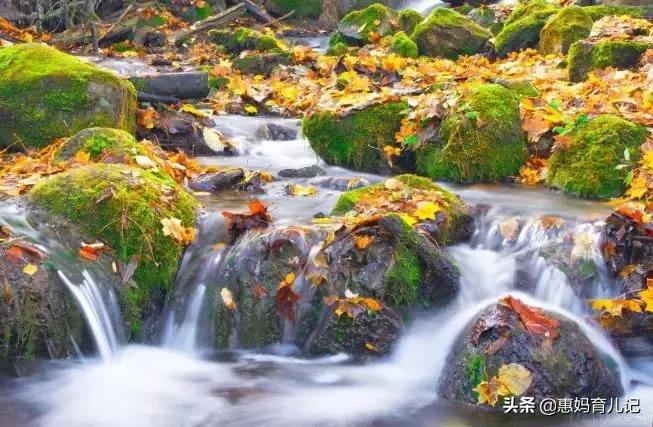 早教不能让孩子输在起跑线上,0-1岁早教知识大全