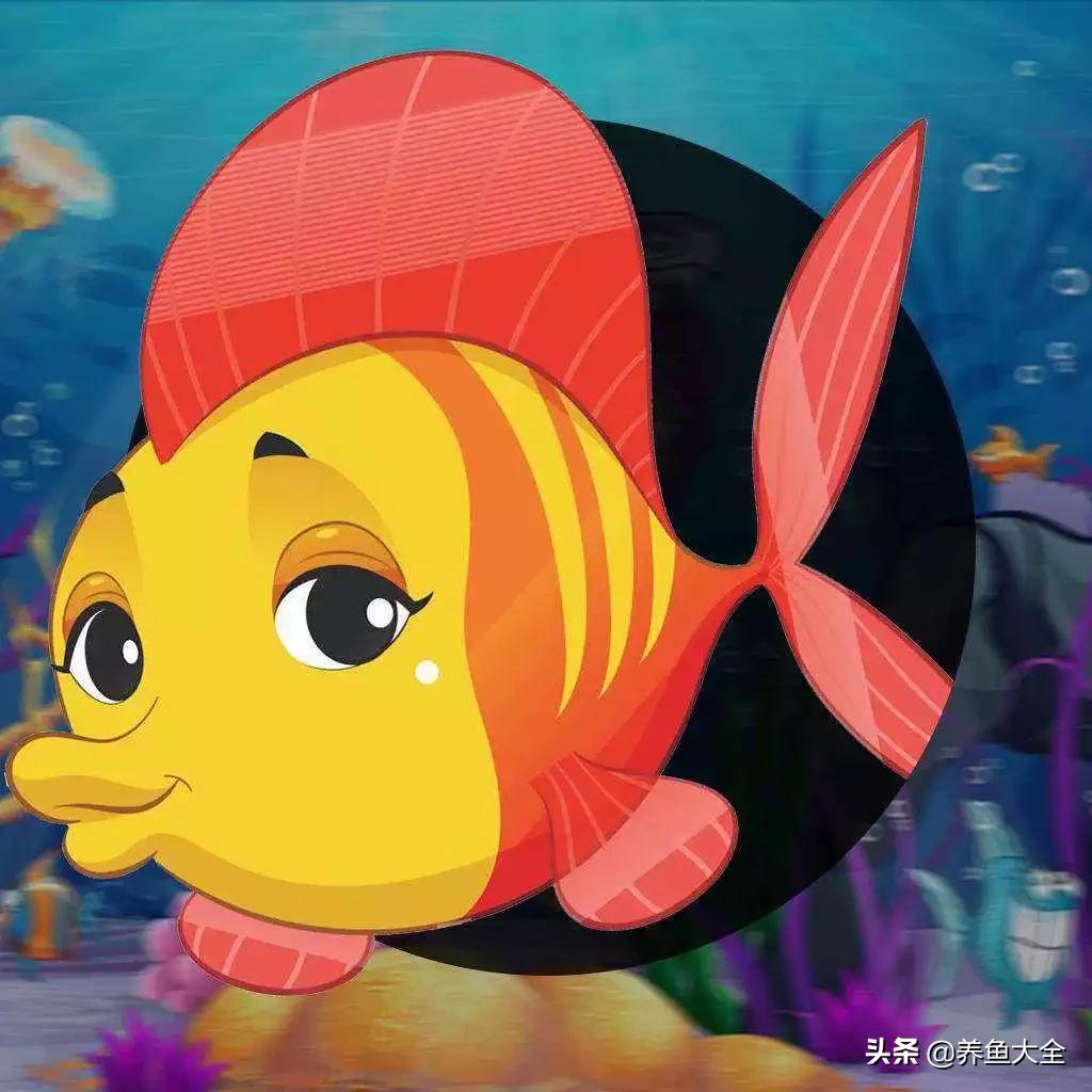 新手要注意的几个问题,新手都要知道的11个小问题