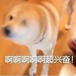 张浦最新消息,张浦要腾飞了