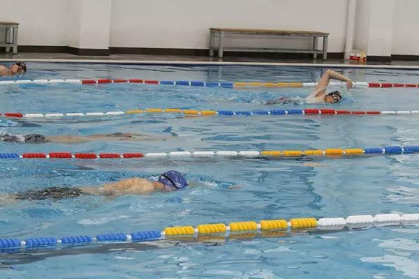 跟我一起学游泳视频,成人零基础游泳入门如何呼吸换气