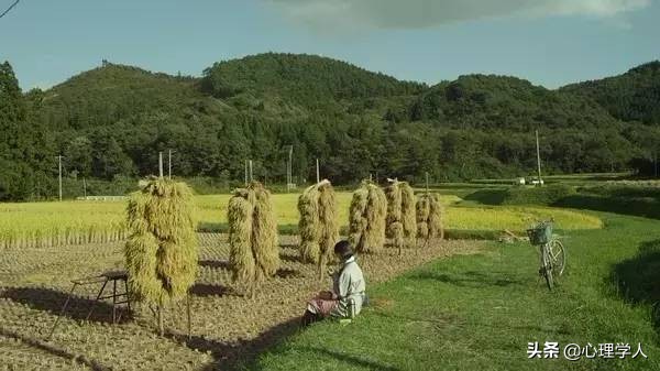 桥本爱在小森林是素颜吗,桥本爱小森林主题曲完整版