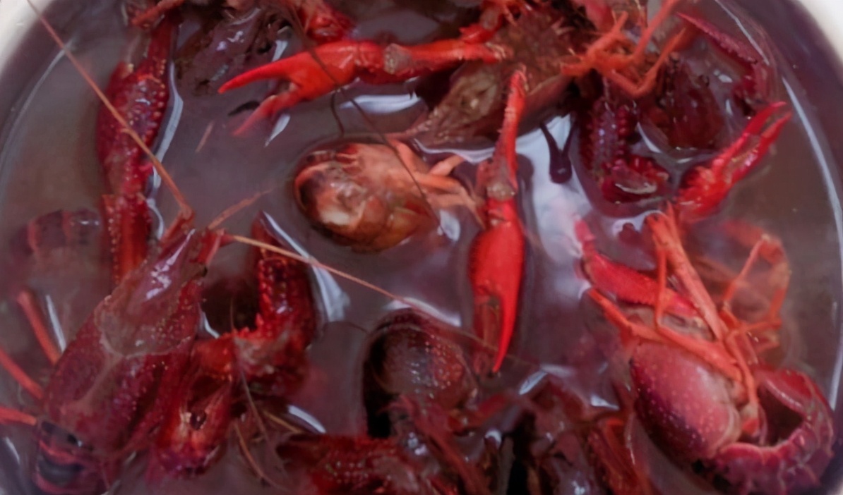 洗小龙虾怎么防止被抓,洗小龙虾用虾粉怎么洗