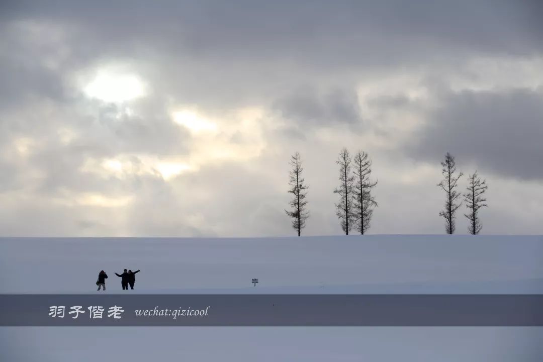 老实说，这一趟北海道就是为了拍好看的照片去的