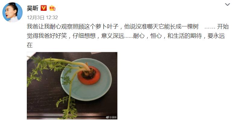 鍚存槙鍗磋鍚愭Ы琛f湇鍙堜笐鍙堣吹,鍚存槙鐜板湪绌胯。鎵撴壆