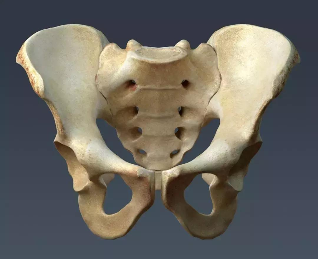 风靡朋友圈的「徒手缩阴」术真的有效吗？