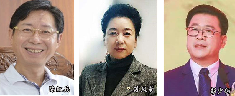 未来中国大健康产业发展前景广阔,专家谈医疗发展路径