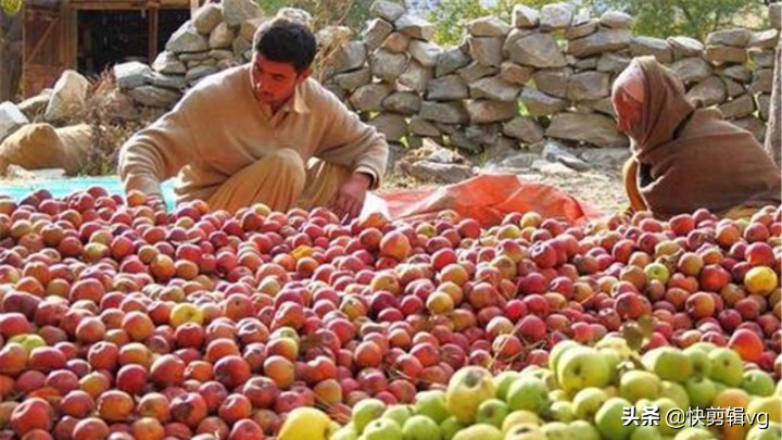 中国承包巴铁万吨水果,又和菲律宾签订2.7亿大单,越南坐不住了