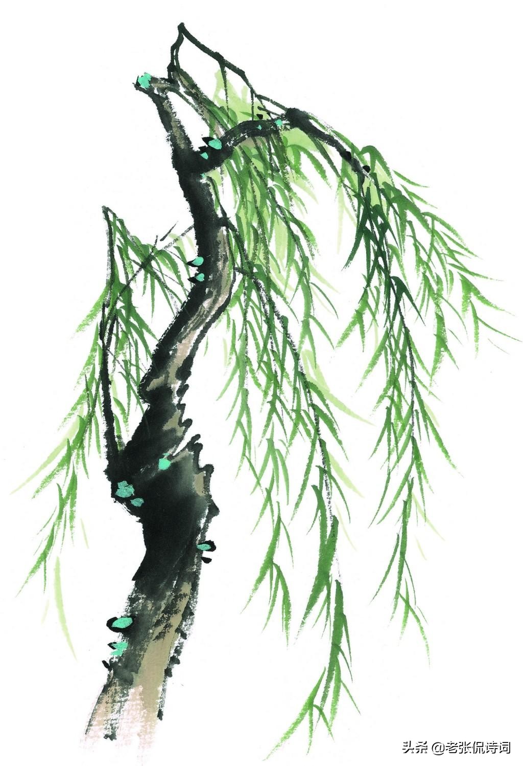 唐朝咏柳诗,经典古诗咏柳诗