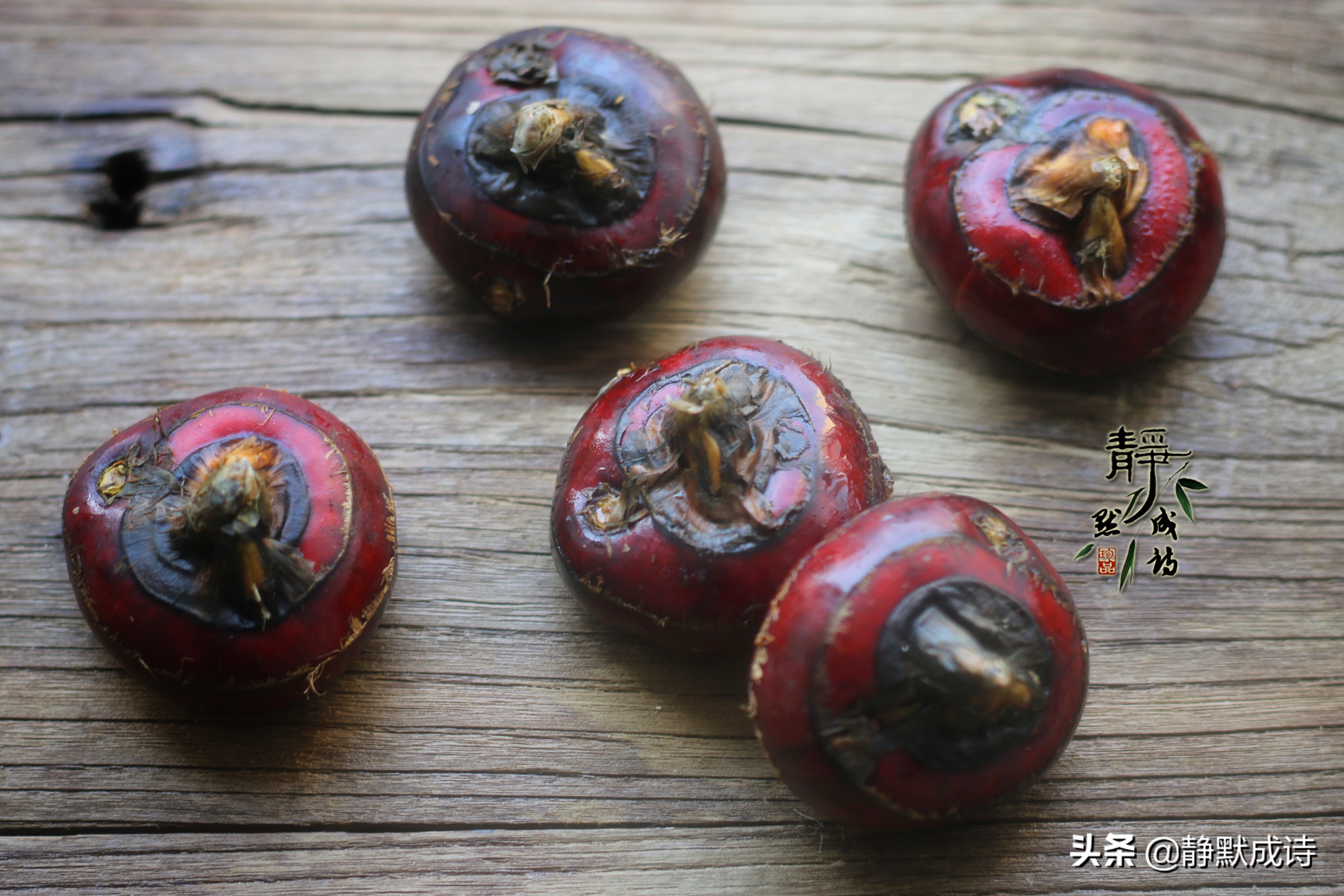 年夜饭必备的家常菜丸子,珍珠丸子的家常做法年夜饭