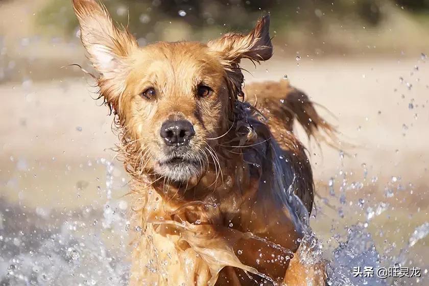 索尼微单a6000调色彩,索尼微单a6000价格
