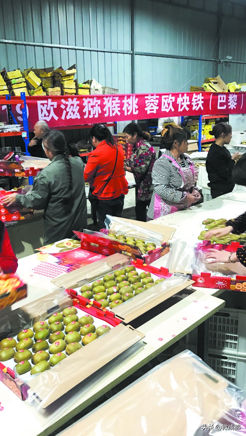 成都营商环境建设迈向3.0！税费降下来了，前三季度全市累计新增减税289.6亿元