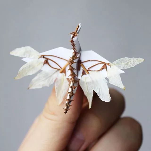 1000天1000只纸鹤，他折的纸鹤让自己走出抑郁……