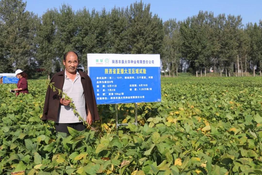 华山论豆，“小产业”迈出“大步伐”