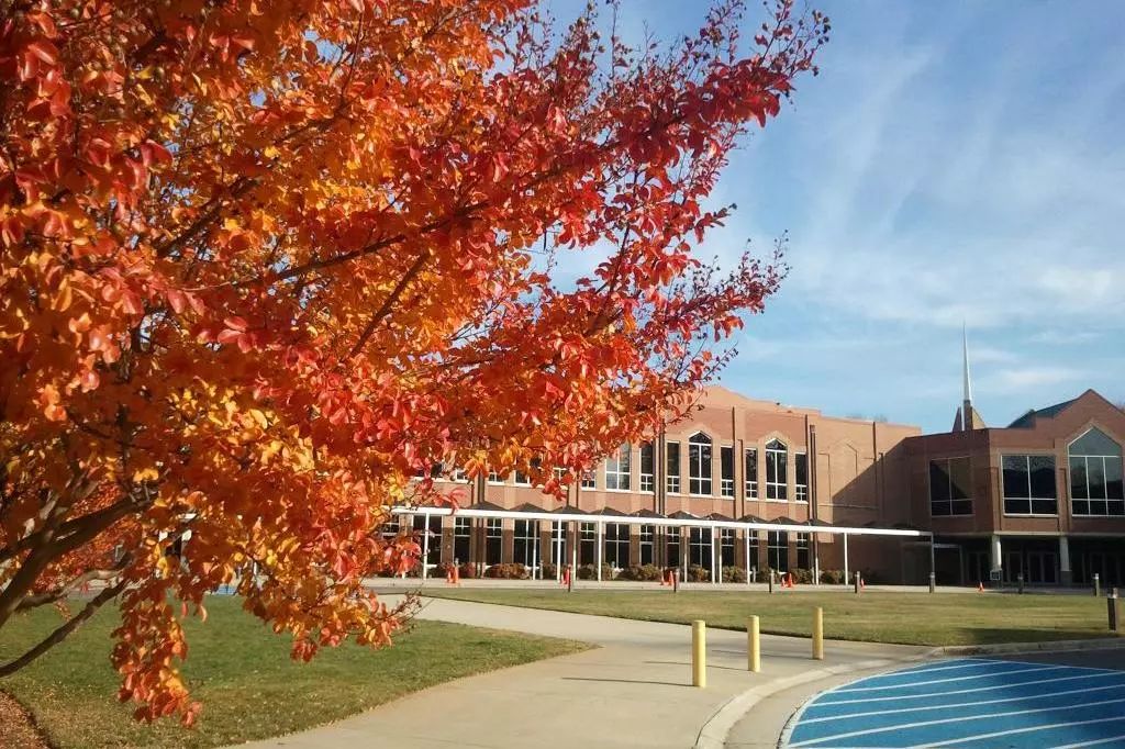 这些学校“都挺好”,新绿洲硅谷优质学校,录取迅速,住家优质!