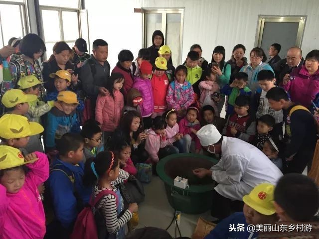 茶基地研学旅行,济南研学茶文化