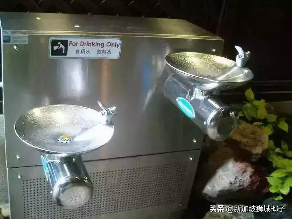 新加坡生活省钱攻略,2020新年新加坡旅游攻略