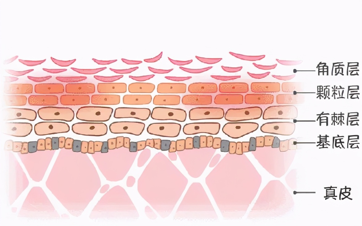 会拉丝的面膜,适合小脸的提拉面膜