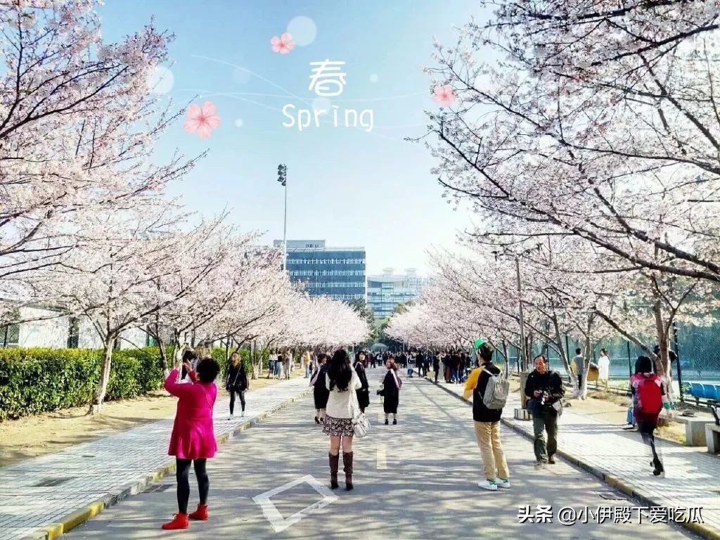 上海交大高金emba值得读吗,上海交大高金