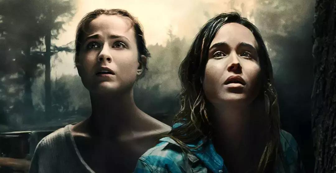 8部高能野外求生电影,5部艰难求生的电影