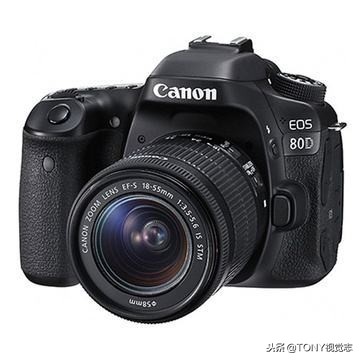 佳能相机新手推荐哪一款,尼康佳能单反哪款最好