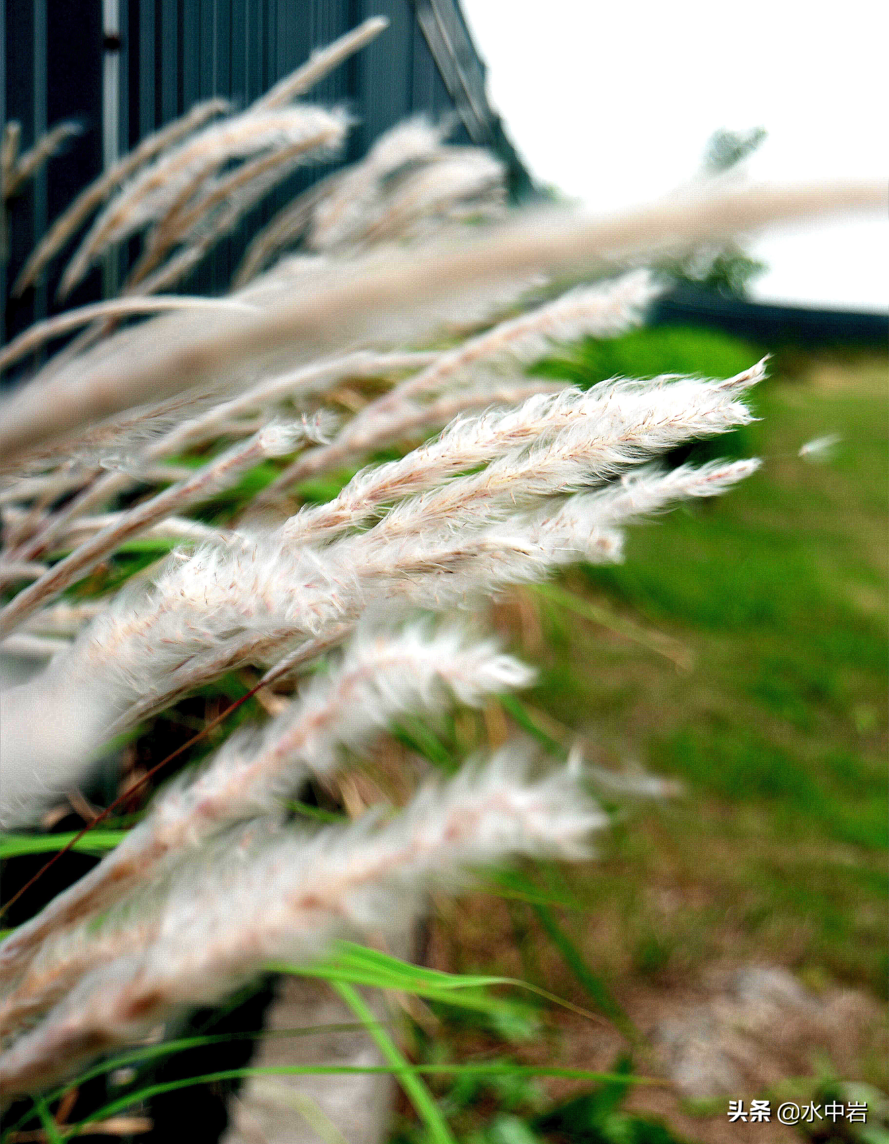 长江流域发生了几次大型洪涝灾害,江苏历史上遭遇的洪水