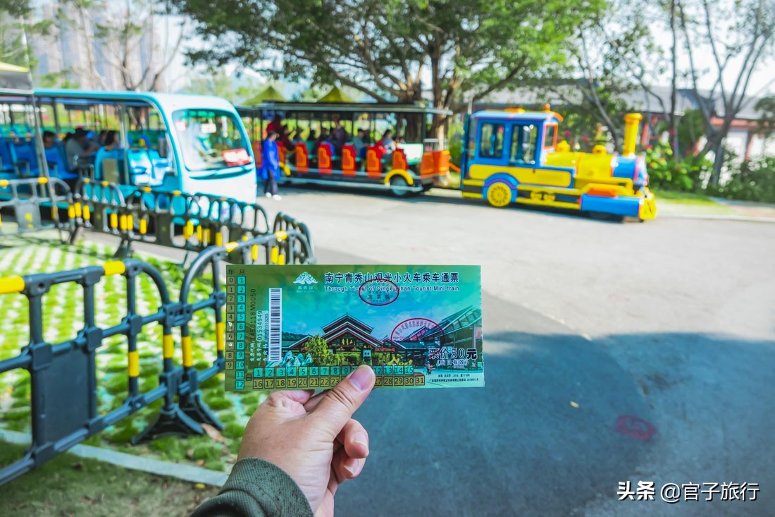 再游青秀山，看“熊猫级”国宝苏铁王，只为千年等一回的告别