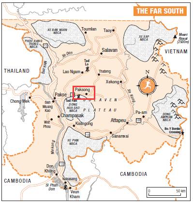 老挝咖啡介绍,最火爆的老挝咖啡