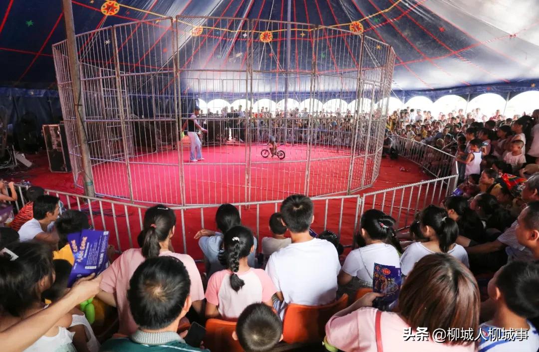 热闹非凡各种表演视频,热闹非凡的活动