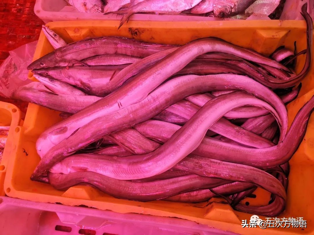 青岛海鲜市场价格表今日,青岛哪个农贸市场海鲜最便宜又好