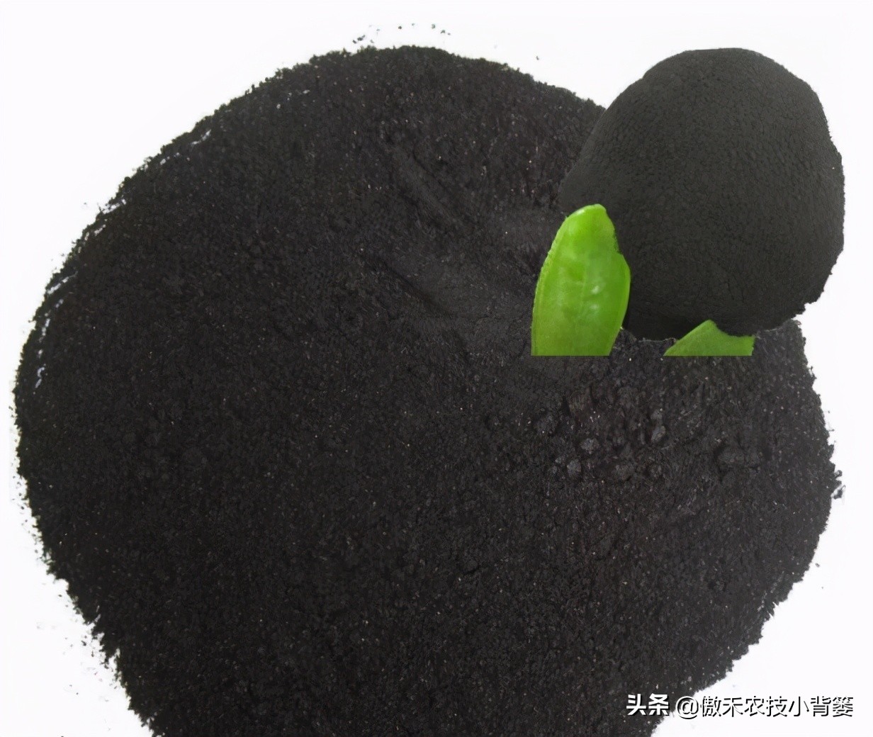 腐植酸氨基酸鱼蛋白肥料哪个更好,有机质肥料腐植酸海藻酸成分高吗