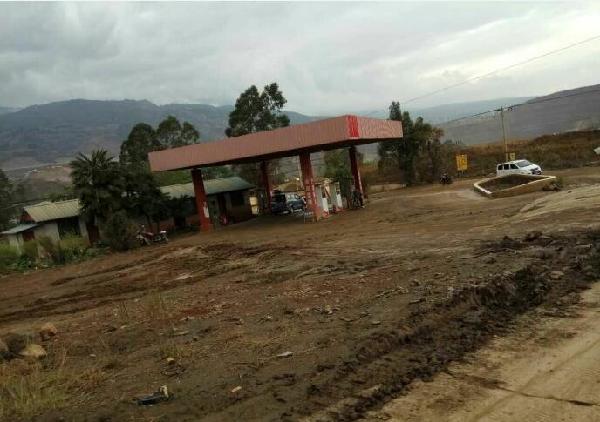 爱我的人和我爱的人游鸿明,爱我的人和我爱的人dj