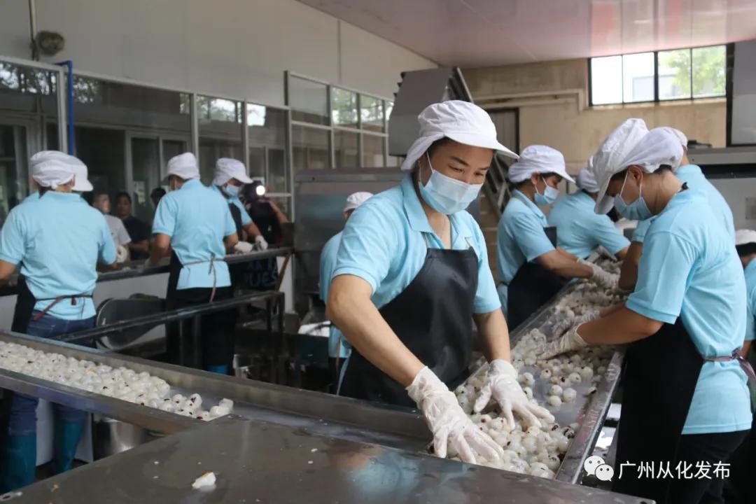 打响广东标准品牌,打响农产品特色品牌