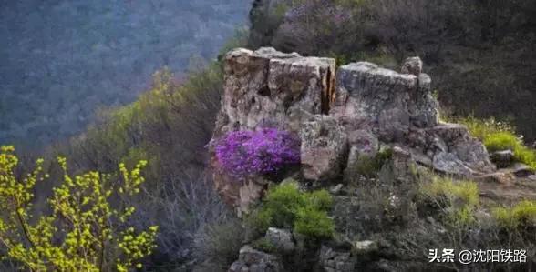 小长假没地方去？来这里！好玩不忽悠......
