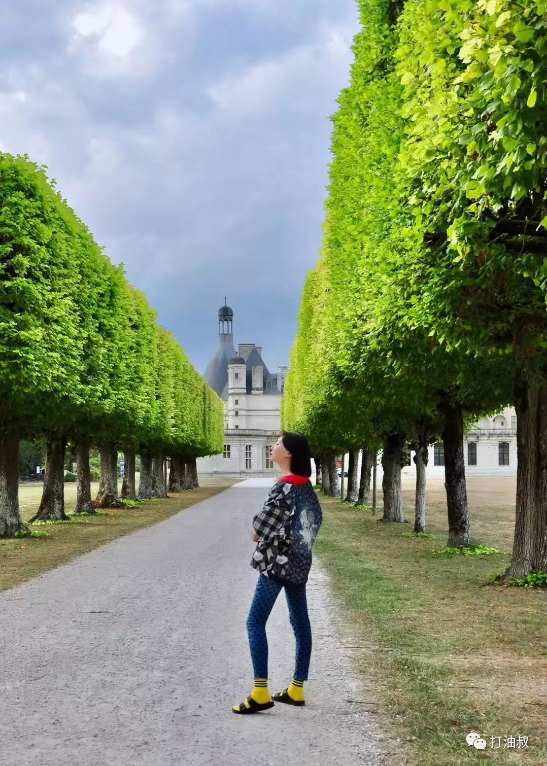 卢瓦尔河谷古堡之旅 (法国卢瓦尔河谷后花园)