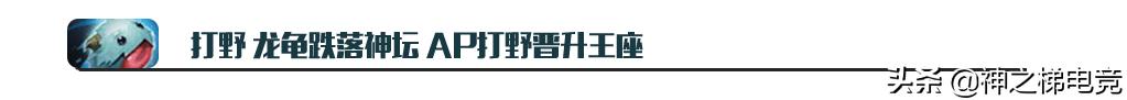9.0版本龙龟,龙龟版本强势