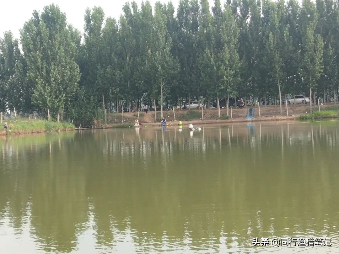 眼前的苟且不一定输给远方的诗——洛庄垂钓之行有感