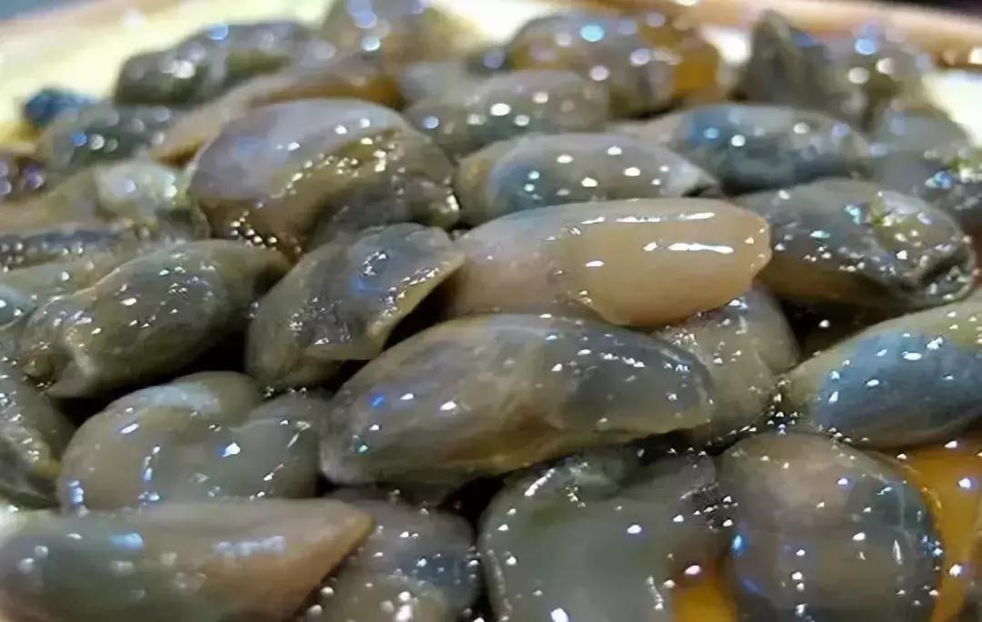 防城港怎么吃海鲜便宜不被坑,防城港干货海鲜有哪些