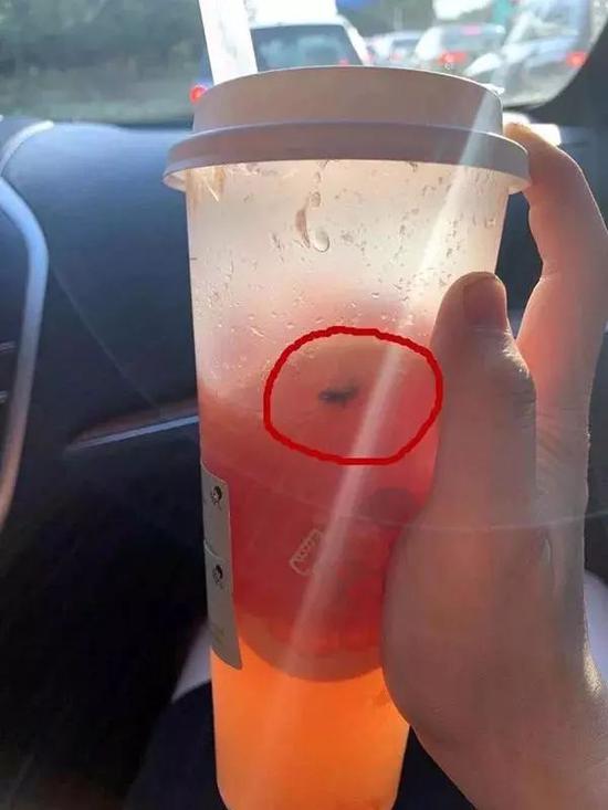 当一只苍蝇决定在喜茶里自杀