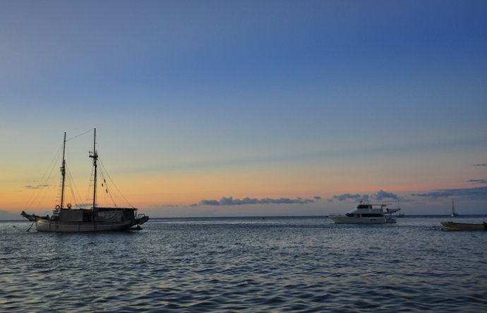 全民热遗|大堡礁上有个翡翠岛,绝美好玩,还是海龟康复中心
