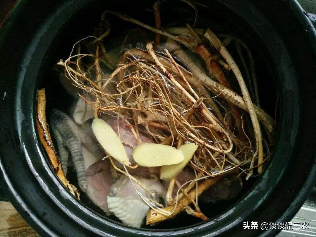 五爪龙煲汤可搭配哪些祛风湿,五爪龙汤方子图片