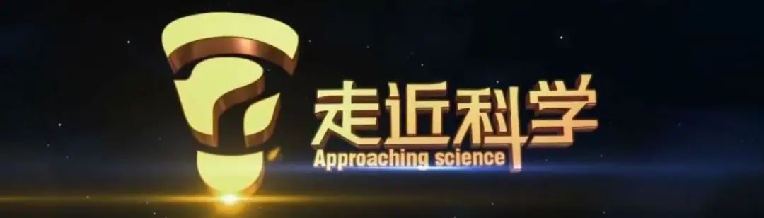 8090年代中国恐怖电影解说,国产恐怖电影定律