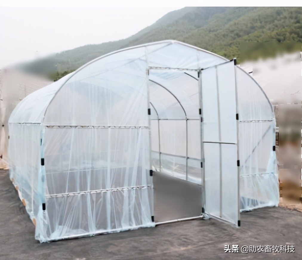 鸡粪有机肥除臭最有效的方法,鸡粪怎么发酵做养花肥料